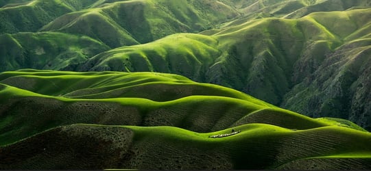 Rights of Nature