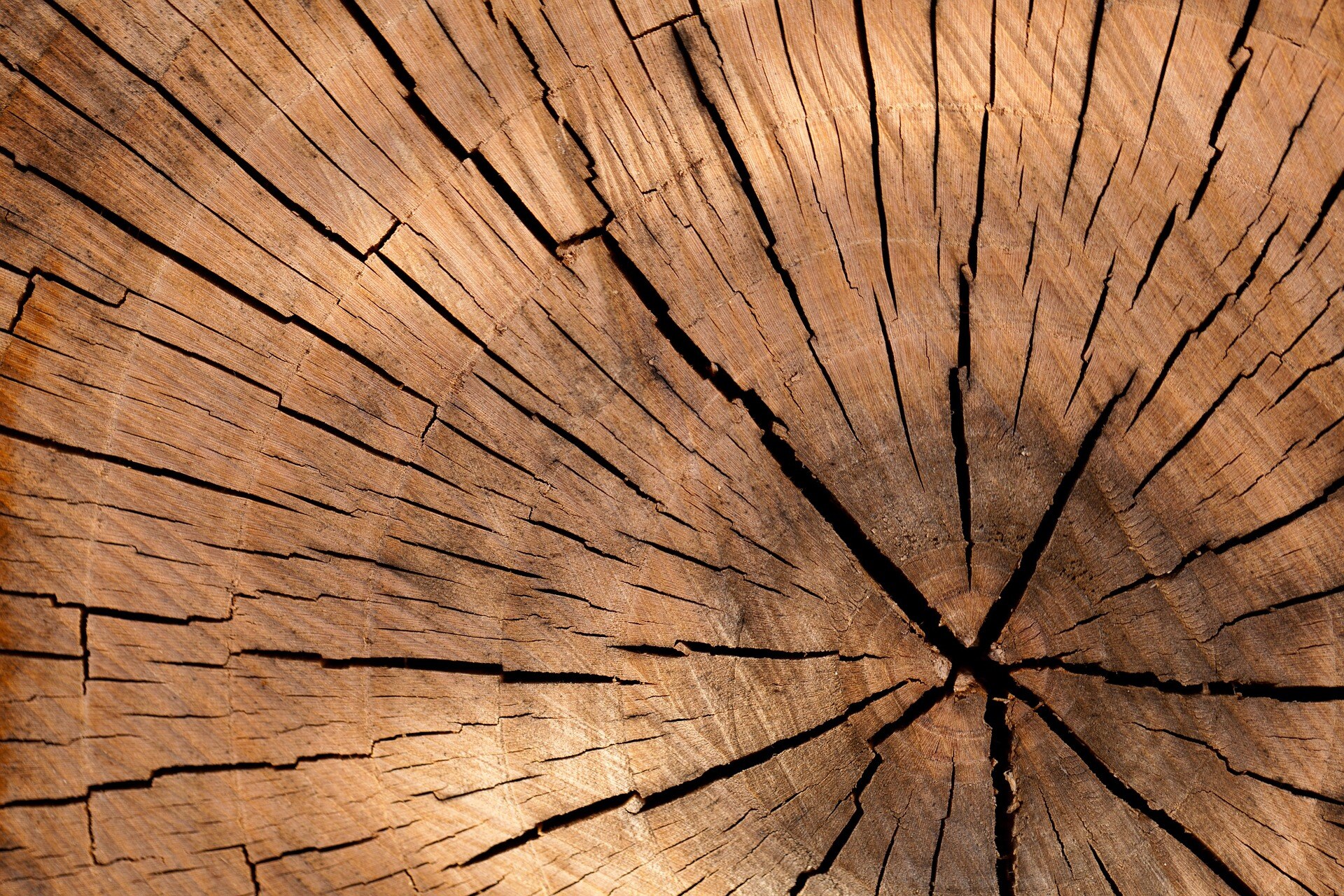 lumber-84678_1920 lumber-84678_1920