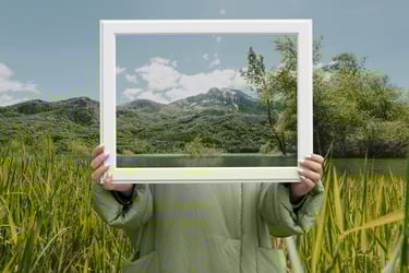 Nature on the Board
